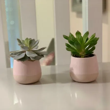 Clube アパートホテル