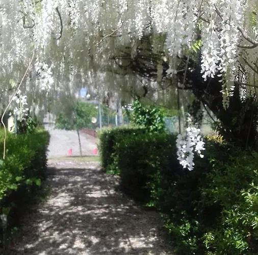 公寓式酒店 库里亚俱乐部酒店 库里亚